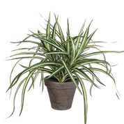 Plante Artificielle - Dracaena - MICA